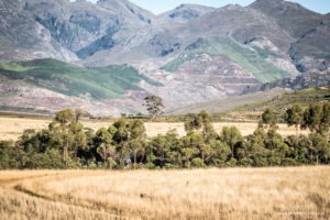 24 hour MTB at Oak Valley