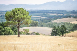 24 hour MTB at Oak Valley