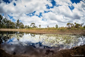 24 hour MTB at Oak Valley