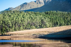 24 hour MTB at Oak Valley