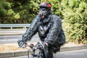 Cape Town Cycle Tour 2015