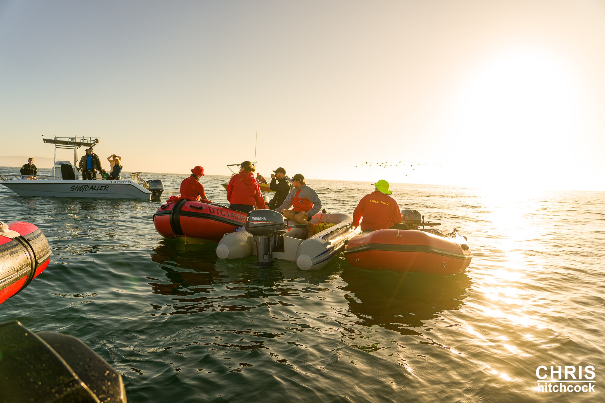 Robben Island Escape