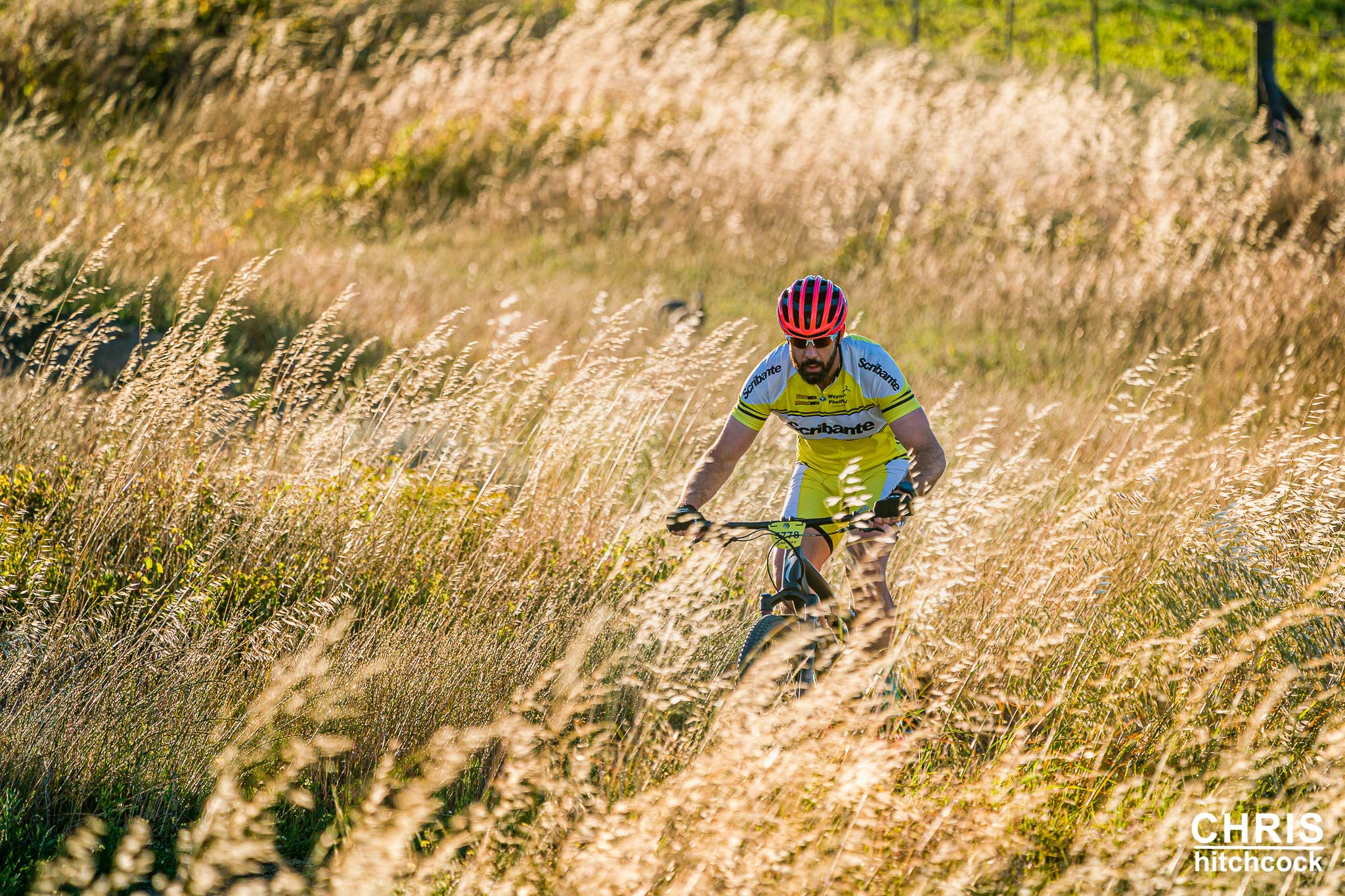 Tygerberg Mountain Bike Club