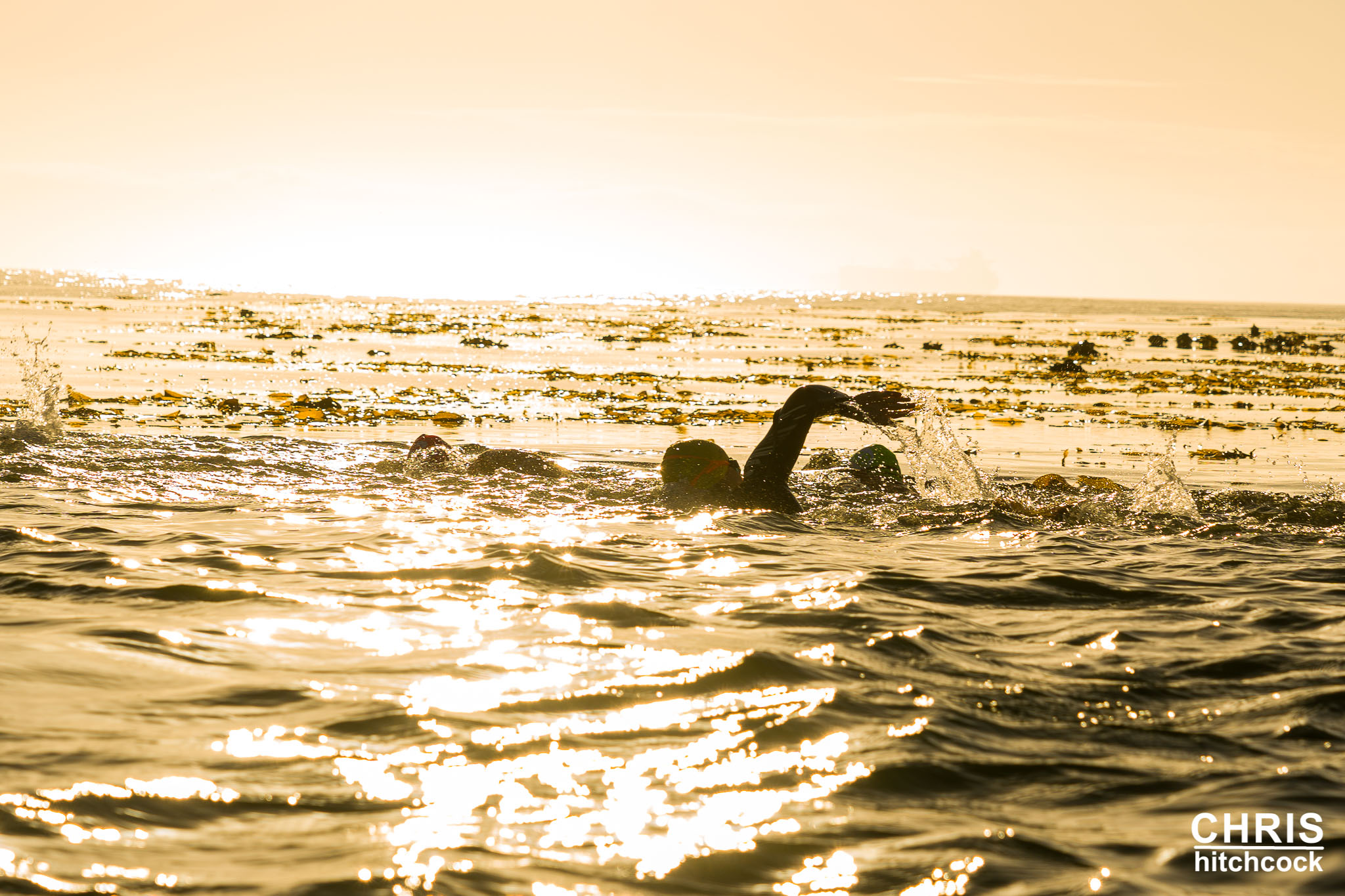 Robben Island Escape