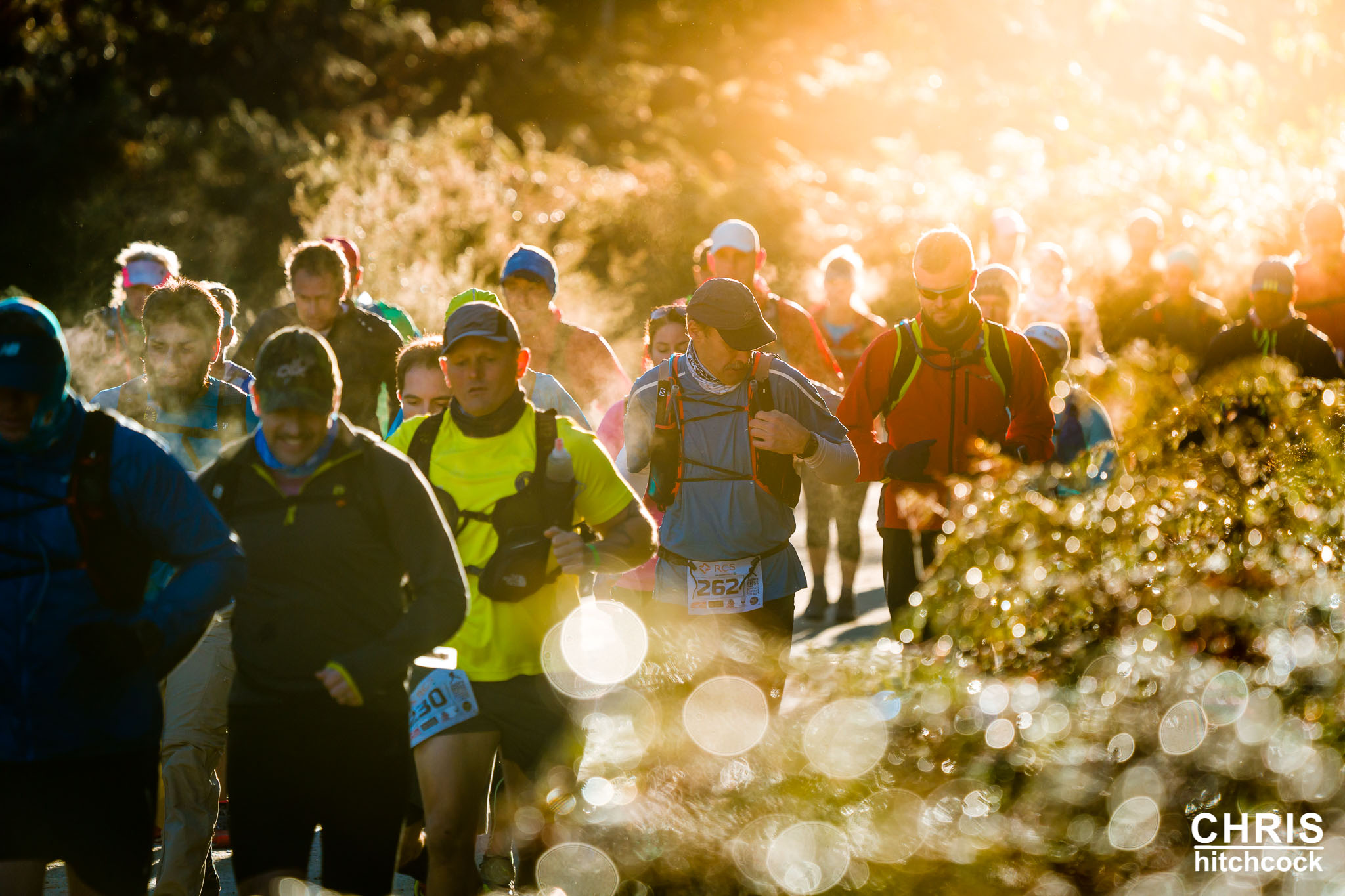 Trail Running Image Portfolio