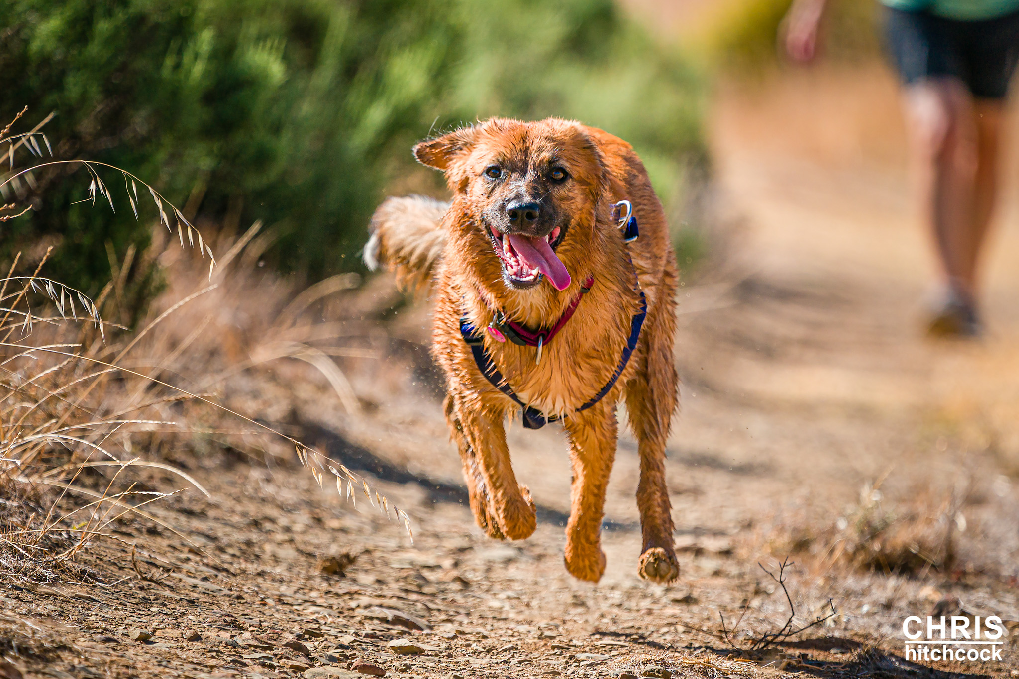 Hoogekraal Farm Walking and Running Trail.