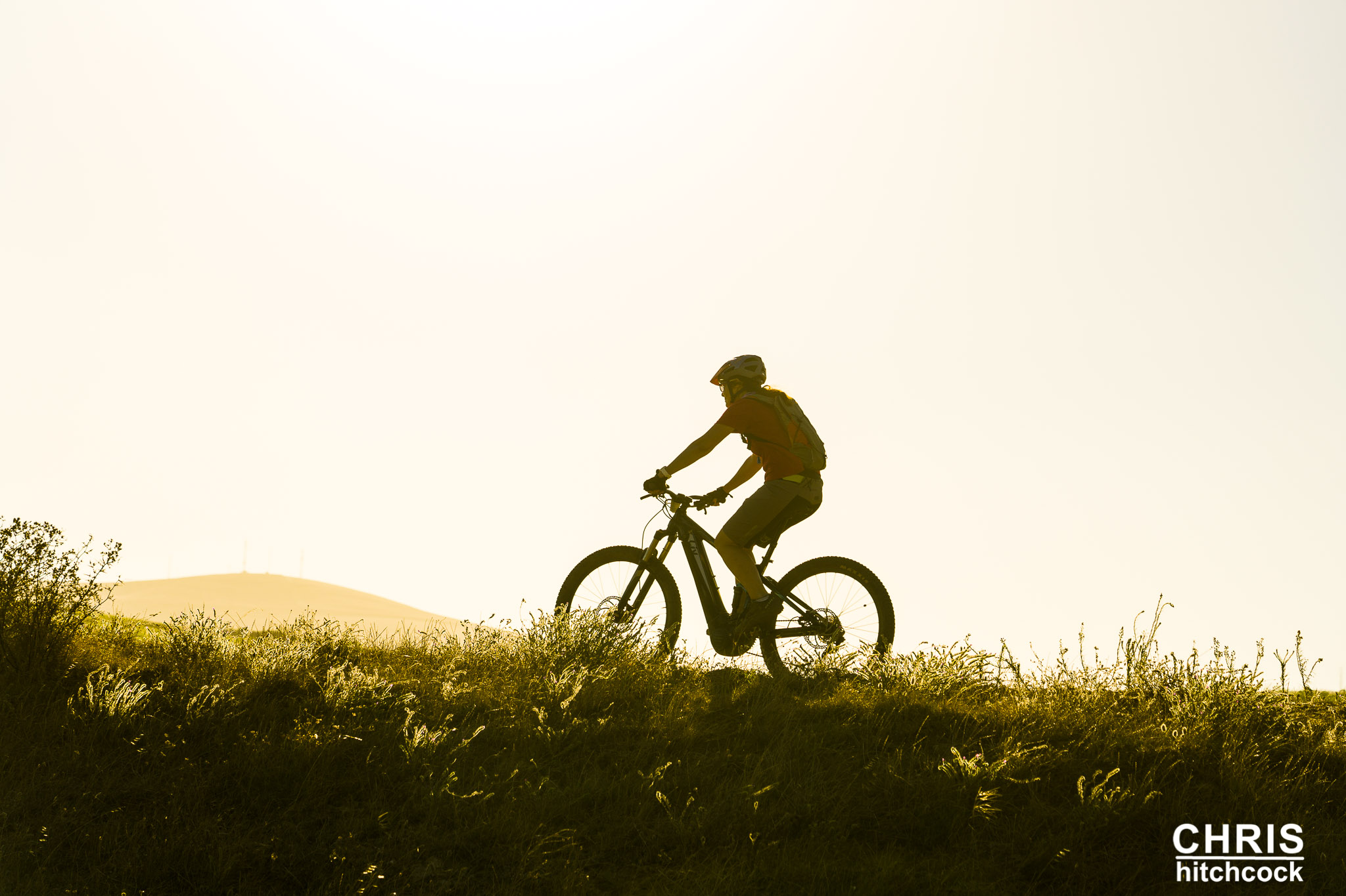 Bloemendal Wine Estate