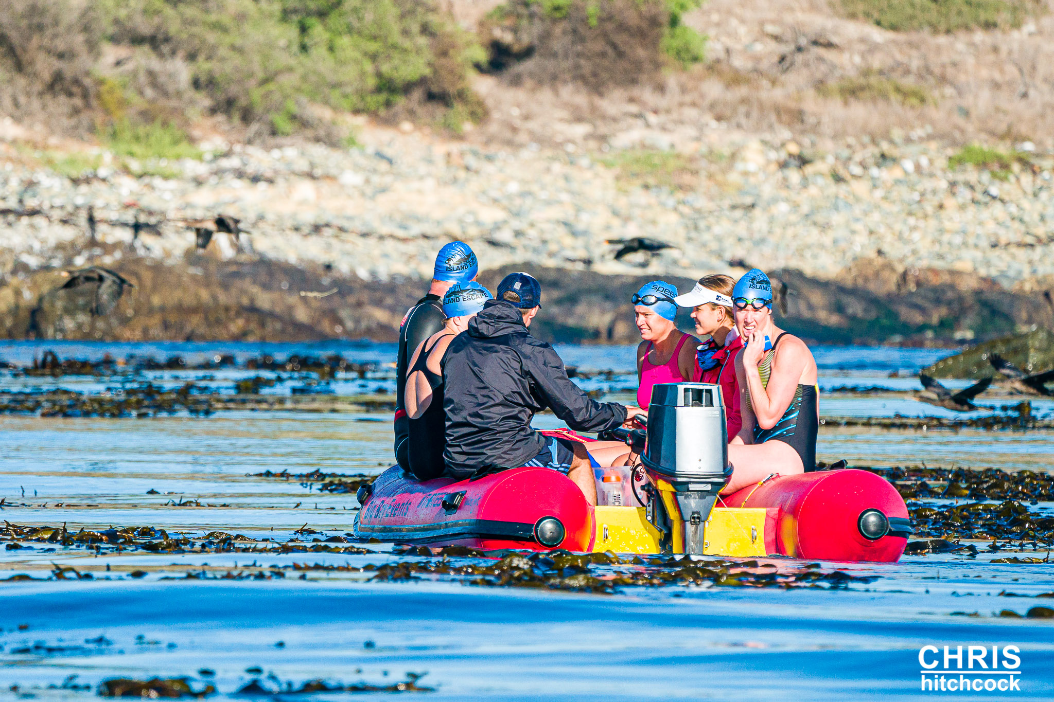 Speedo island Escape
